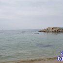 미래부동산 앞 횡단보도 이미지