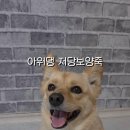 아워댕 네이버블로그