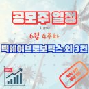 공모주 일정 정리 2026년 6월 4주차 : 빅웨이브로보틱스 외 3건