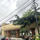 Natural co | 발리 짱구맛집 센소리움 메뉴 웨이팅 지락실 맛집 후기