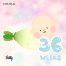 에브리댕 | 26년 6월 1~2주차 일상 • 댕댕 베이비시팅, 막달검사, 둘이서 맘껏 놀기, 생일 주간 🎂