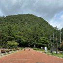 울산암각화박물관 | 부산근교 당일치기 여행 추천 울산 반구대암각화 울산암각화박물관