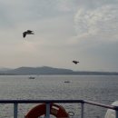 평대바당 민박 이미지