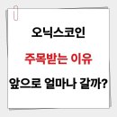 오닉스 네이버블로그