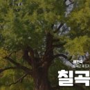 칠  곡 이미지