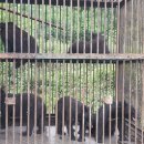 곰두마리농장 이미지