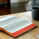 날마다 은혜로운 평안수호 날기새 말씀큐티♥​ 20251114 “하나님에겐 형제가 화목한 것 보다 더 큰 즐거움이 없다” #2007 에 이미지