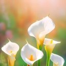 김소월「엄마야 누나 이미지