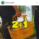 분즈 이미지