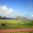 새들목장 이미지