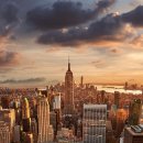 시티뉴욕(City New York) 이미지