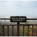 개화산공원 Daum카페
