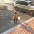 봉봉이 놀이터 이미지