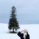 도야주유소 | [공지] 일본 렌트카 추천 훗카이도 자유여행 일본 렌트카 예약 준비물