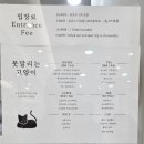 산호오락실 | 서현 나들이 ① 고양이카페 🐱(주말 방문 후기)