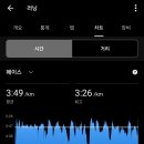 소백산 | 2026 영주소백산마라톤 하프 코스 후기