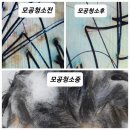 두피탈모태후사랑아주점 이미지