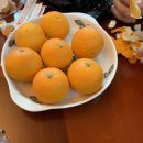 광령그린 민박 이미지