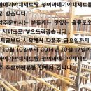 철이모바일 이미지