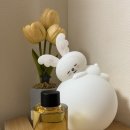 모델상사 | [내돈내산]태풍상사 김민하가 모델인 세포랩 바이오제닉 에센스 후기