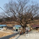 보름골경로당 이미지