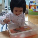 아이스나라 이미지
