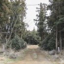 상천리보건진료소 이미지