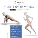 다욧이엠에스 이미지