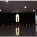 대구가톨릭대학교병원 이미지