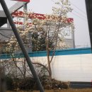 목련주유소 이미지