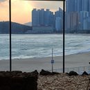 해운대블루라인(주) 이미지