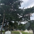 청명학원 앞 | 충북 괴산 신상 애견 동반 호텔!! 청명 호텔 찐 후기!!