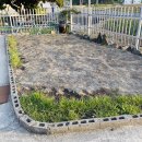 세정민박 이미지