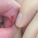 무주오리펜션 | 전북 무주 덕유산 맛집 &lt;무주오리&gt; (주차/후기/아기랑)