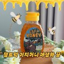 잼트럭 | 잼트럭 이지허니｜지리산 야생화 꿀로 완성한 아침 루틴