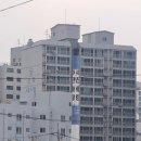 산호탕 이미지