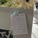 D I M | WED M-2 🖤 제주웨딩촬영 (로즈메리스냅, 하이재이) 솔직후기