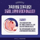 베일리이비인후과 네이버블로그