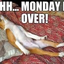 월드옵티마약국 이미지