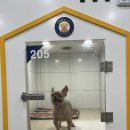 올리스24 명지점 이미지