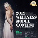 웰니스미