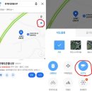 단풍나무 | 원주 반계리 은행나무 11월 중순 후기, 주차, cctv 단풍 실시간 현황 확인 방법