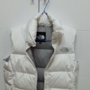 황금조끼 Daum카페