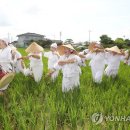 용전 이미지
