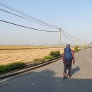 성덕면사무소 이미지