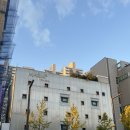 마리아 | 상봉마리아 나팔관 조영술 후기 / 사실혼관계 난임지원금 신청