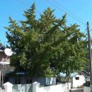 원촌회관 이미지