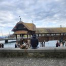 레오호프 이미지