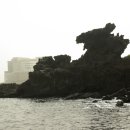 공연 전시장길 코스 이미지