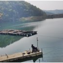 남면농협상수지점 이미지